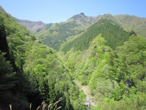 天然水が創られる山々　初夏